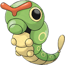 caterpie