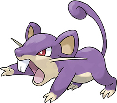 rattata