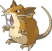 raticate