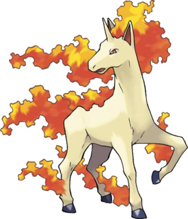 rapidash