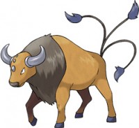 tauros.jpg